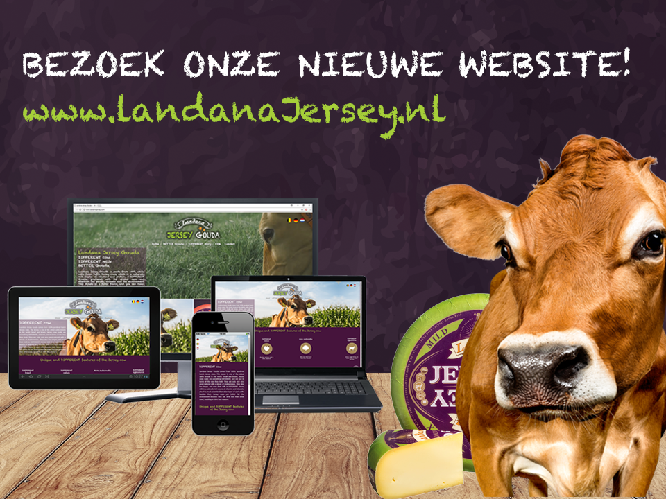 landana jersey Gouda