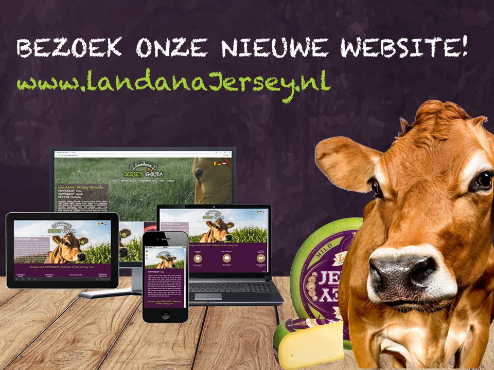 Landana Jersey website